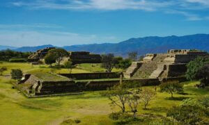 Lanzamiento de la Colección 1 de MapBiomas México